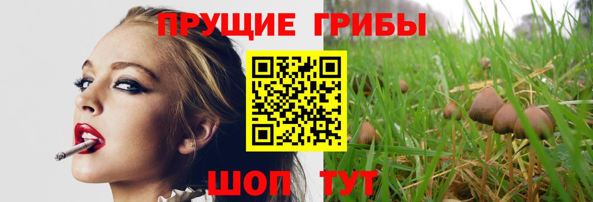 Губкин  Псилоцибиновые грибы MAGIC MUSHROOMS  магазин продажи наркотиков  Вход с VPN  Галлюциногенные грибы мицелий 